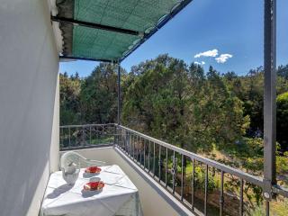 Apartment Rubin-13 by Interhome - Selca kod Bogomolja - 0