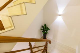 Araucaria Residence - Huxi - 3