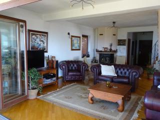 Villa Marija - Ohrid - 0