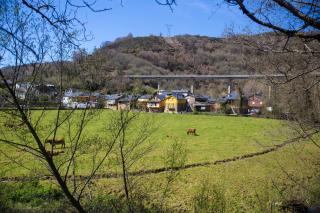 Hotel Ambasmestas - 8