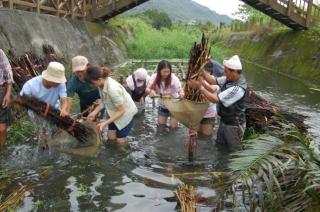 Shin-Liu Garden B&B - 5