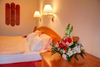 Park Hotel Pruhonice - Prŭhonice - 9