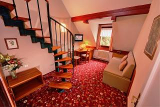 Park Hotel Pruhonice - Prŭhonice - 3