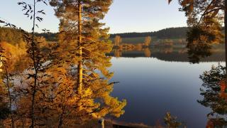 Ferienwohnung am Kirnbergsee - Unterbränd - 0