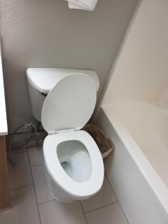 Microtel Inn & Suites by Wyndham Augusta/Riverwatch - Augusta - 6