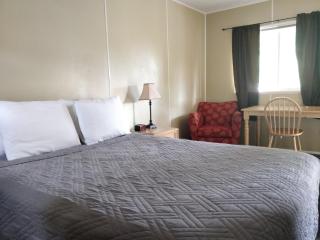 Stone Mountain Lodge - 4