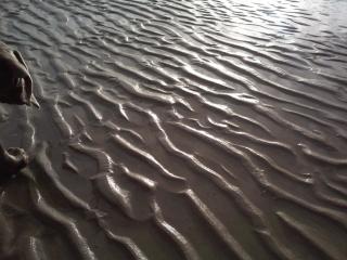 Feriendomizil-Usetom - 2