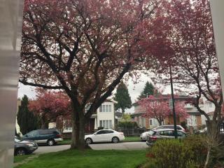 Lee home - Vancouver - 0