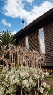 Cabañas Punta de Lobos - Pichilemu - 7
