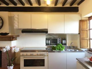 Il Riccio-casale panoramico con piscina in Versilia - 1