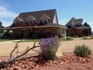 Bullberry inn Bed & Breakfast - Tropic - 3