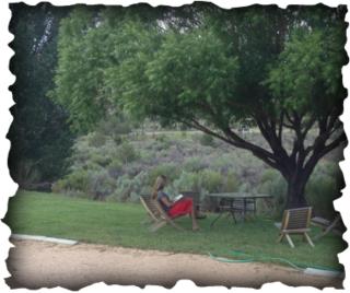 Bullberry inn Bed & Breakfast - 6