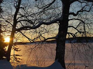 Holiday Home Koivuniemi by Interhome - Nieminen - 7