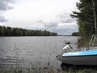 Holiday Home Liplakka by Interhome - Hakoniemi - 3