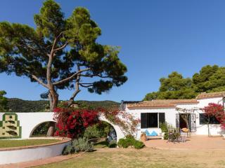 MADROÑOS by Danlux Invest - Tossa de Mar - 1