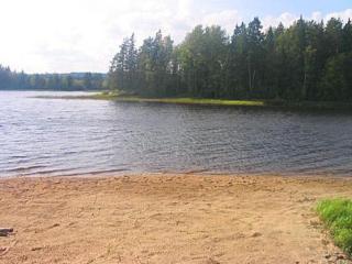 Holiday Home Honkaharju by Interhome - Petäjävesi - 9