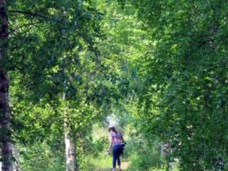 Holiday Home Kelo-kolo by Interhome - Iisalmi - 2