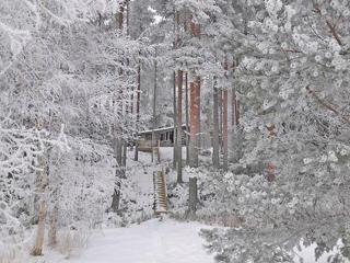 Holiday Home Näätämö by Interhome - 7