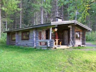 Holiday Home Peltotupa by Interhome - 0