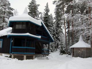 Holiday Home Kiviniemi by Interhome - 7