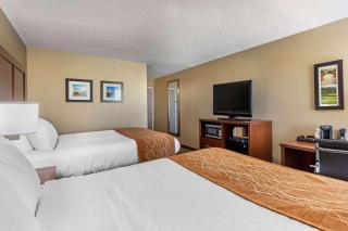 Comfort Inn N Myrtle Beach Barefoot Landing - 9