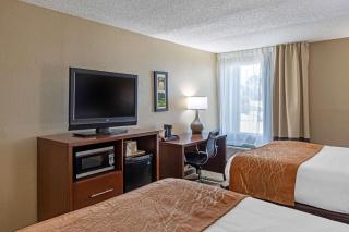Comfort Inn N Myrtle Beach Barefoot Landing - 8