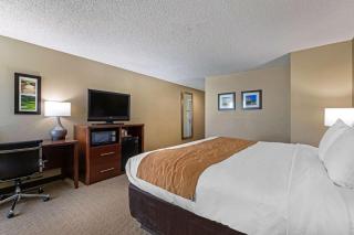 Comfort Inn N Myrtle Beach Barefoot Landing - 6