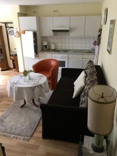 Apartment Baden Baden Haus am Ibachweg - Baden-Baden - 8