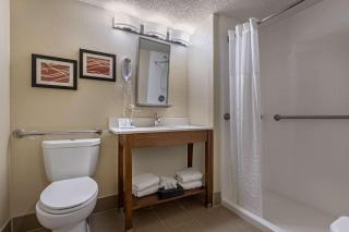 Comfort Inn N Myrtle Beach Barefoot Landing - Myrtle Beach - 3