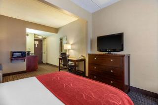 Comfort Suites - Green Bay - 5
