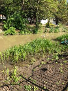 Regina Delux Apartman - 8