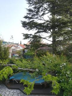 Grand studio avec piscine - Montpellier - 4