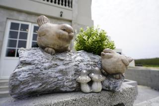 PENGHU Lucai B&B 旅采民宿 - Magong - 9
