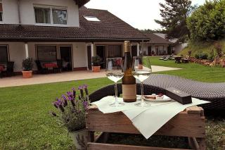 Pension Bergterrasse - Annweiler am Trifels - 3