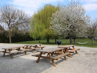 Heritage Castle in Bar-sur-Seine - Bar-sur-Seine - 9