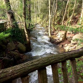 Càmping Parc Gualba - gualba de Dalt - 6