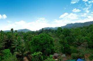 Woodside residency - Thekkady - 3