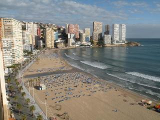 Cachirulo - Fincas Arena - Benidorm - 5