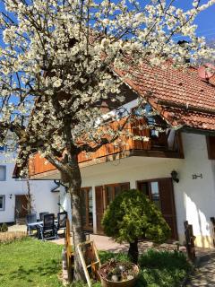 Ferienwohnung Wippenreute - Ravensburg - 8