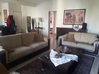 Luxury Apartment in the City - Lefkada - 1