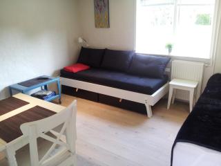 Lilleledgaard studio - 2