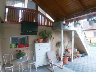 Casa Sannicolau - Sînnicolau Mare - 3