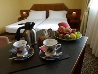 Hotel Montini Linate Airport - Peschiera Borromeo - 5