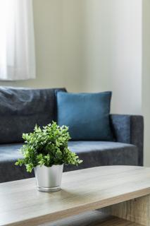 V Luxury Apartments - Siviri - 6