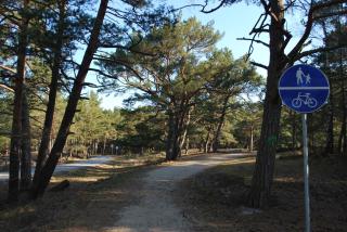 Żurawie domki letniskowe - 6