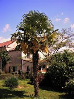 LA FERME JARLAN - Berganty - 0