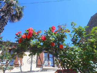 Maison Palmeral - Coustaussa - 9
