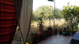La Quercia - Santa Lucia - 1