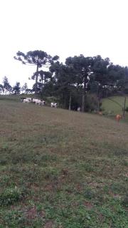 Cantinho do Sossego - Urubici - 6