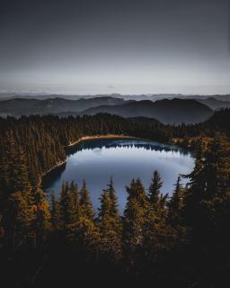 Gateway Inn & Cabins - 5